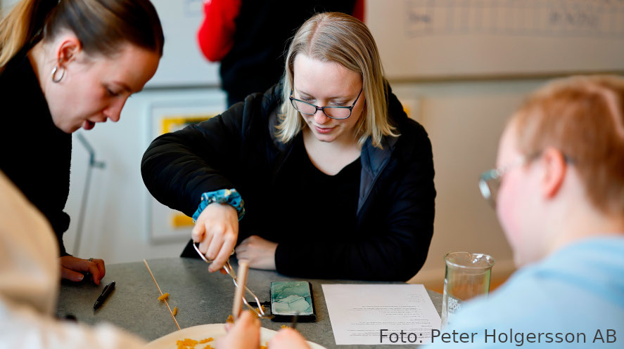 Tre elever samarbetar i en undersökning. 