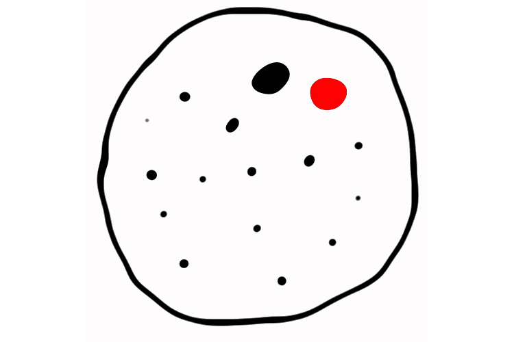 Många svarta och en röd prick i en cirkel.