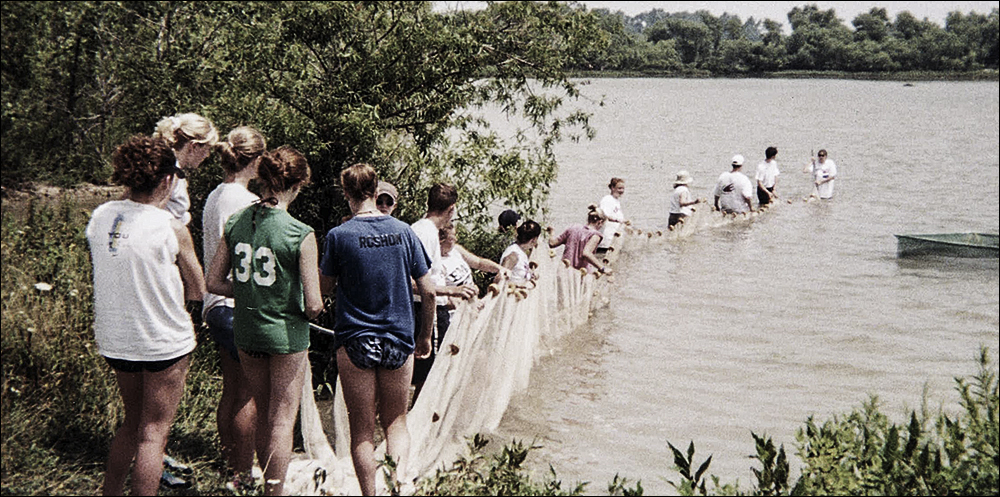 Ungdomar i en linje som drar ett fisknät.